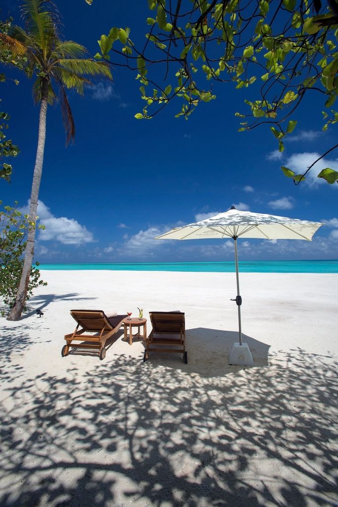 Sun loungers and a parasol beside the pool