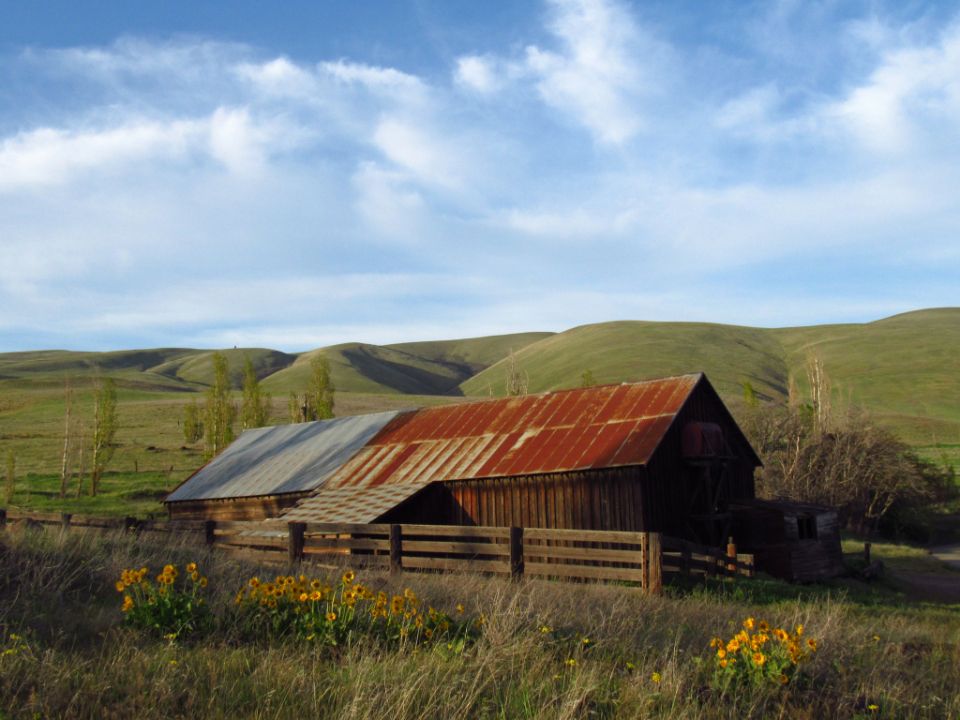 The vineyards and fields nearby
